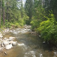 river upstream2